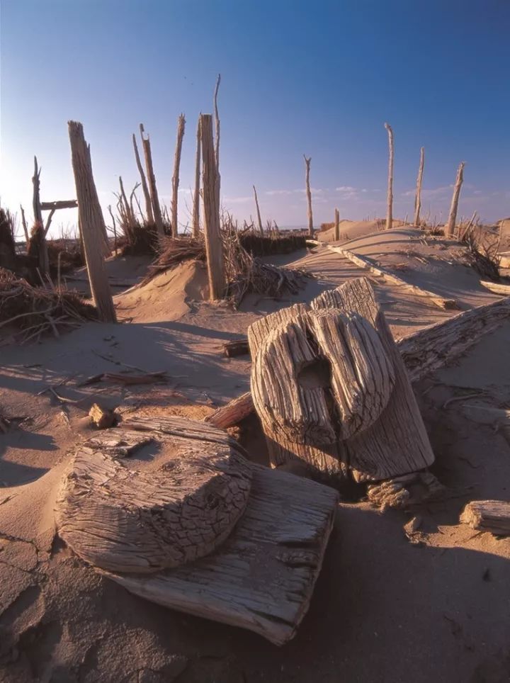 神秘的罗布泊到底有什么