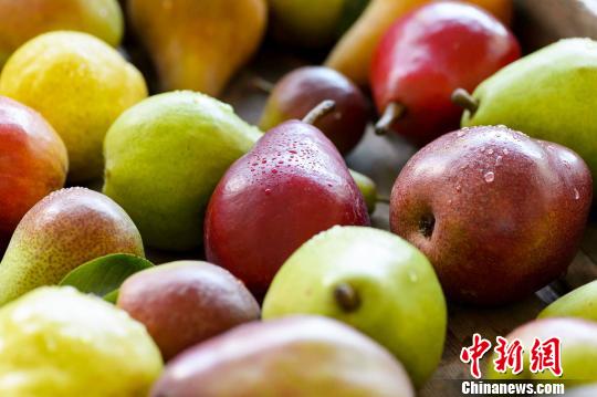 为什么说开马六都傻