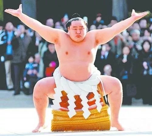 蒙古的相扑高手朝青龙所以,按照履历,他应当继续在里面以一个拳手的