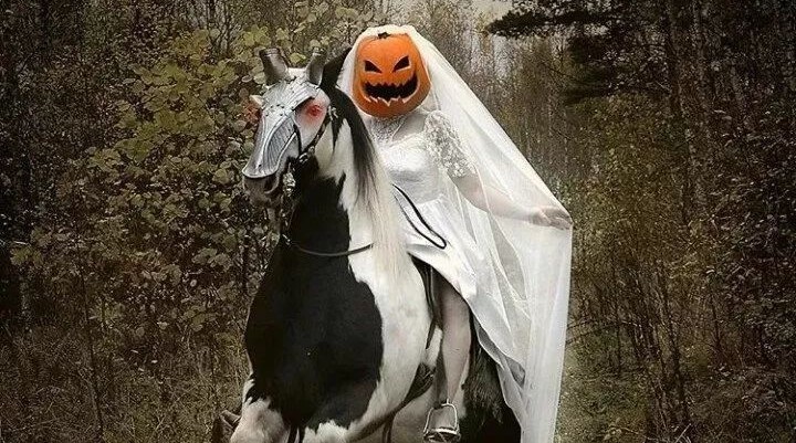 万圣节?又可以扮鬼扮马啦!