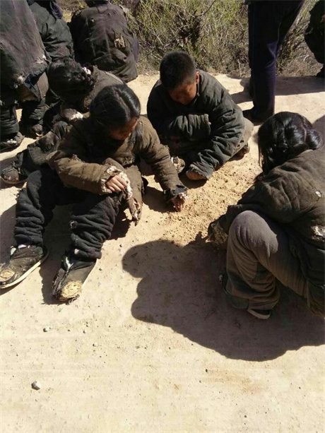 图中小女孩的造型看着让人心疼.