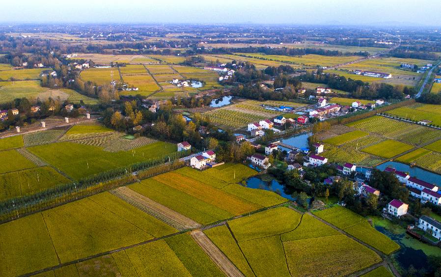 舒城县百神庙镇的乡村田野. 图/新华社