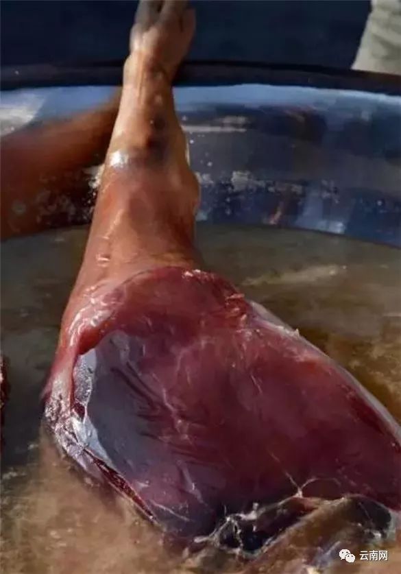 语言艺术家,"舌尖上的中国"配音演员李立宏与云南电视台《大口马牙》