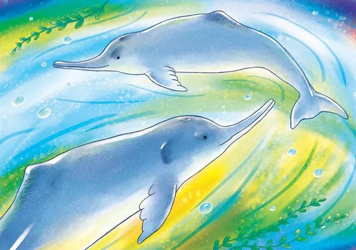 永别了人类我是白鱀豚