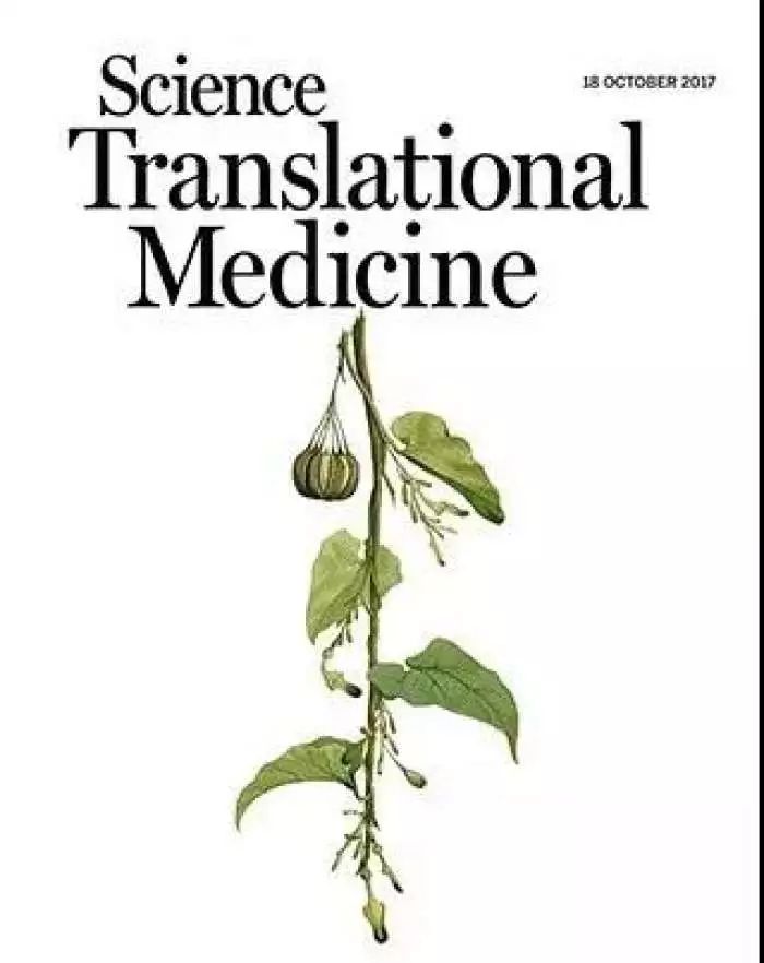 马兜铃酸致癌?权威部门是这样说的