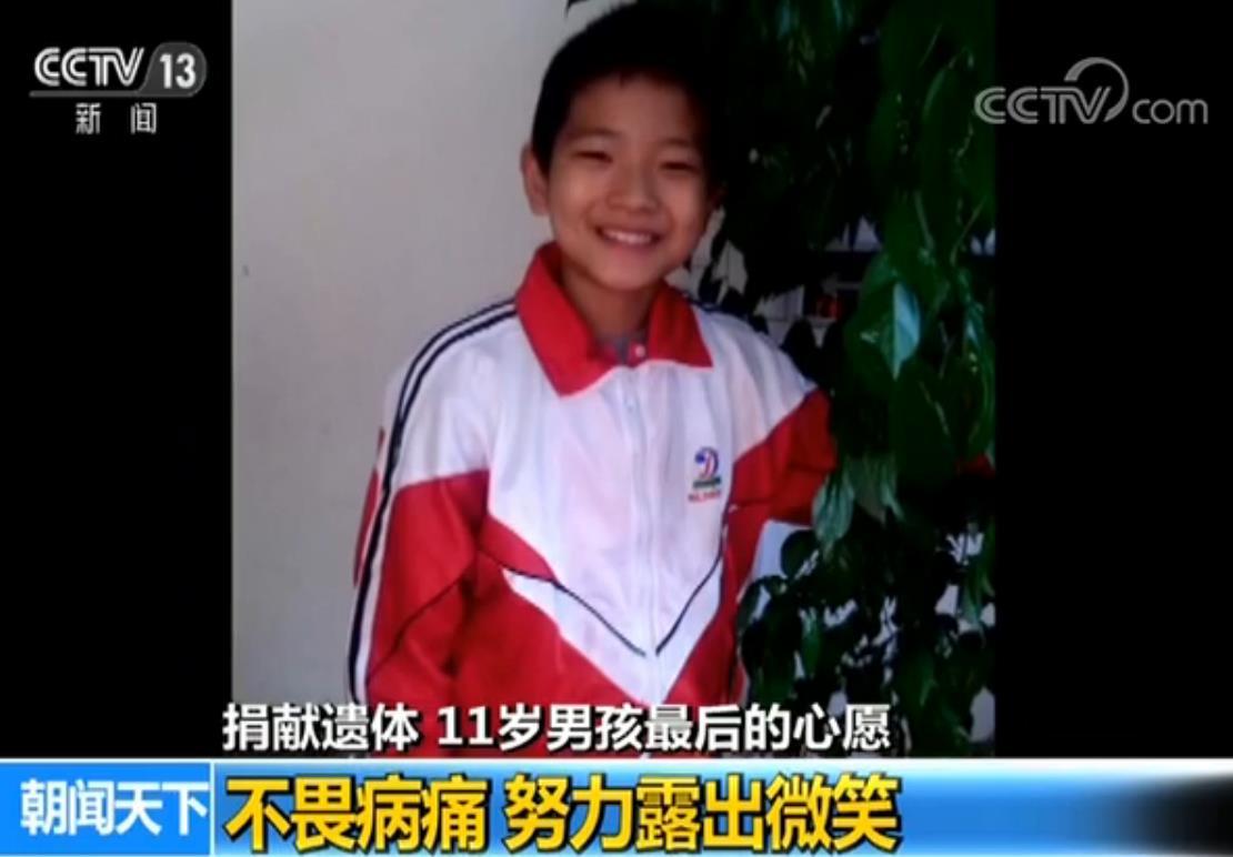 11岁男孩的最后心愿:捐献遗体 帮助他人|遗体|捐献器官|器官_新浪新闻