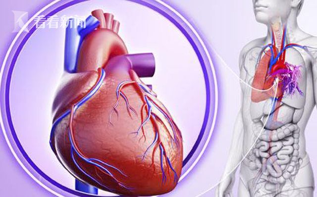 心力衰竭是什么 心力衰竭与心功能不全的区别是什么