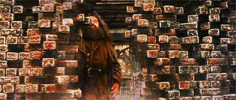 480_204gif 动态图 动图