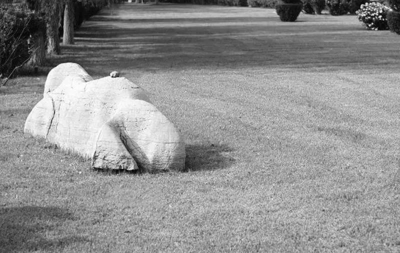 夜读心中的顽石