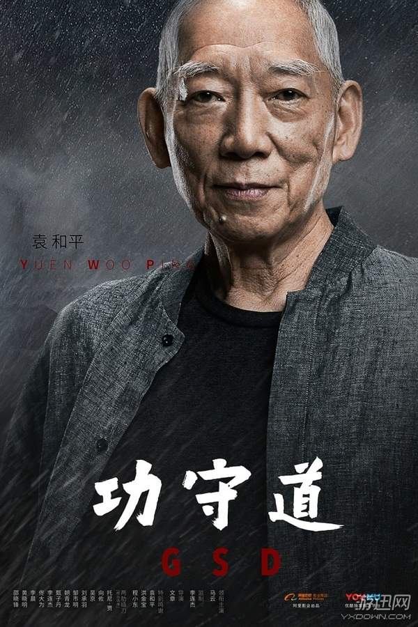 马云电影《功守道》袁和平新海报 动作潇洒,拳脚凌厉
