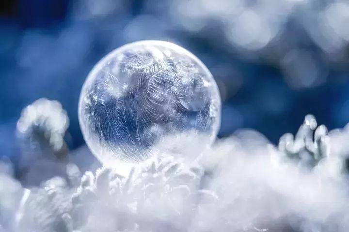 节气醉看墨花月白恍疑雪满前村