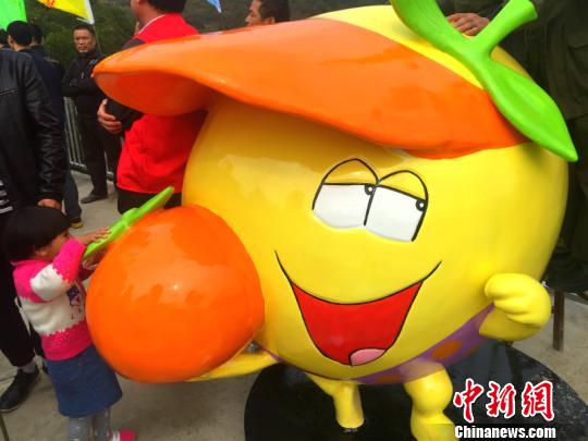 中国"常山胡柚之乡"转型之路:标准化 高端化 国际化