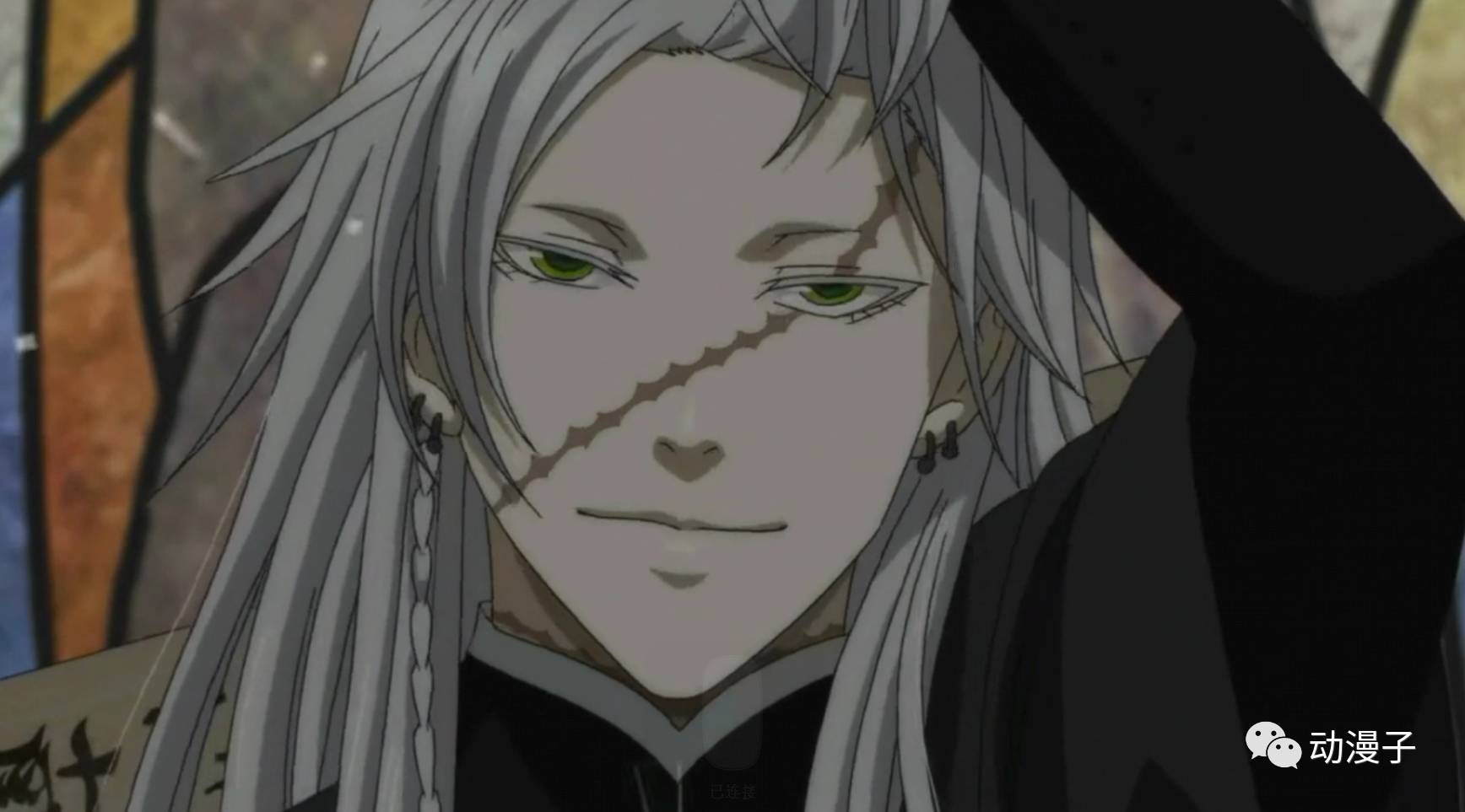 银灰色的长发遮住了半张脸,但能看出脸上有一道很长的刀疤