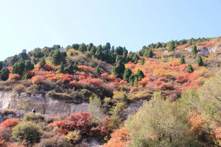 太原周边秋季最美登山攻略,还不赶紧走起