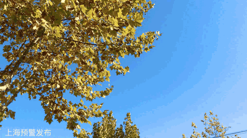 500_281gif 动态图 动图