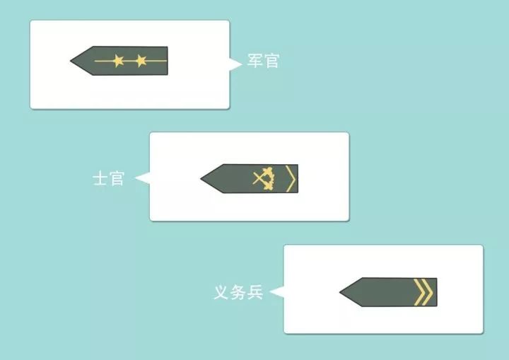 军官,士官,义务兵4,种类:战略支援部队,武警海军,陆军,空军,火箭军,3