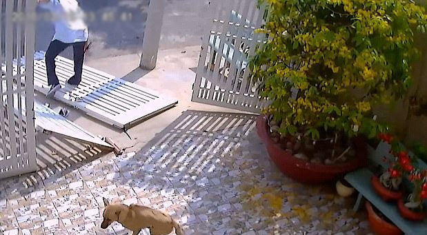 滑稽越南一小偷破门行窃不成反被大门砸骨折