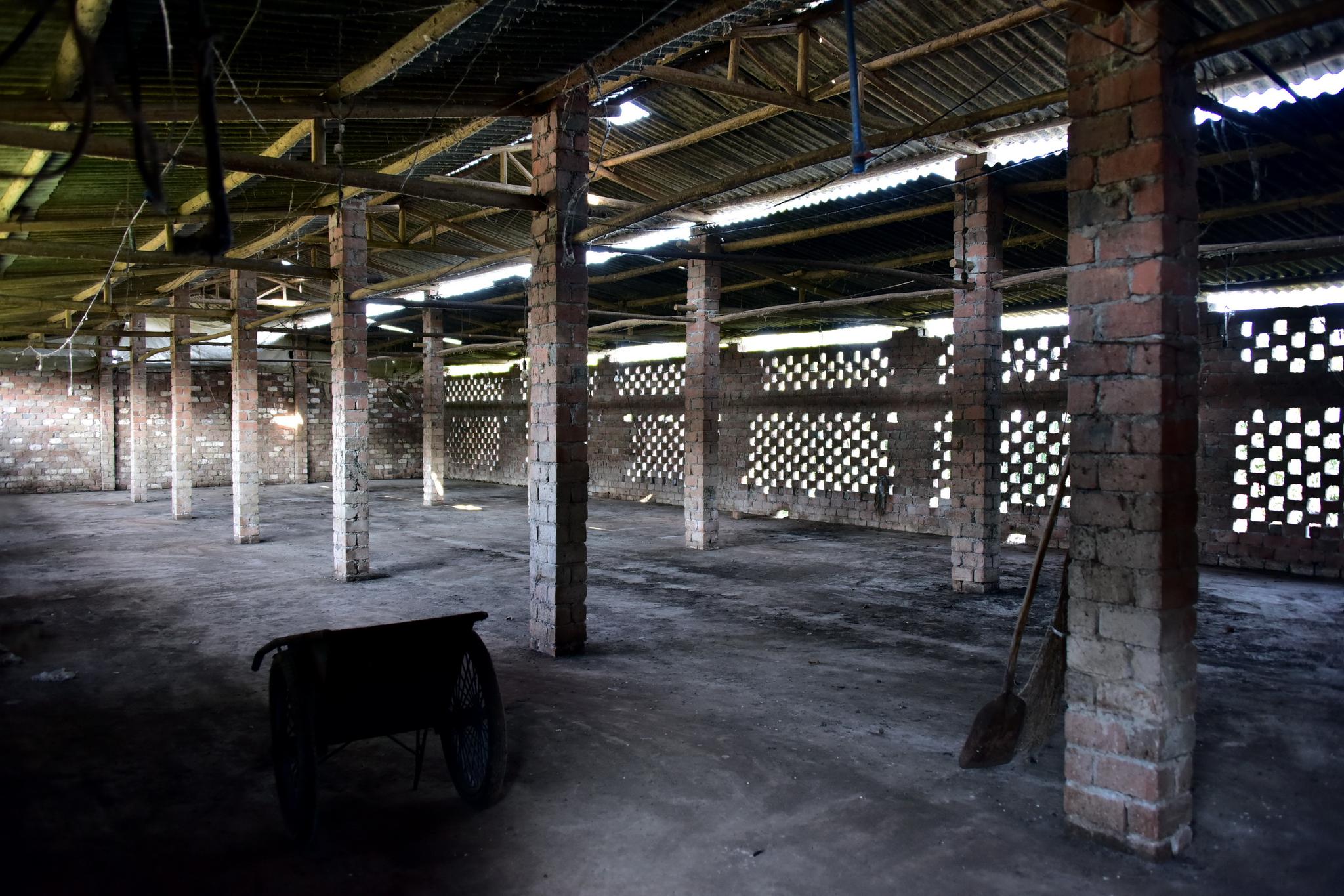 位于乐山市的市中区通江街道檀木嘴社区1组蛋鸡养殖场被关闭,鸡舍已