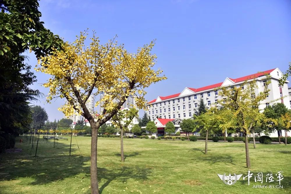 军校最美秋景巡礼第9站陆军军事交通学院