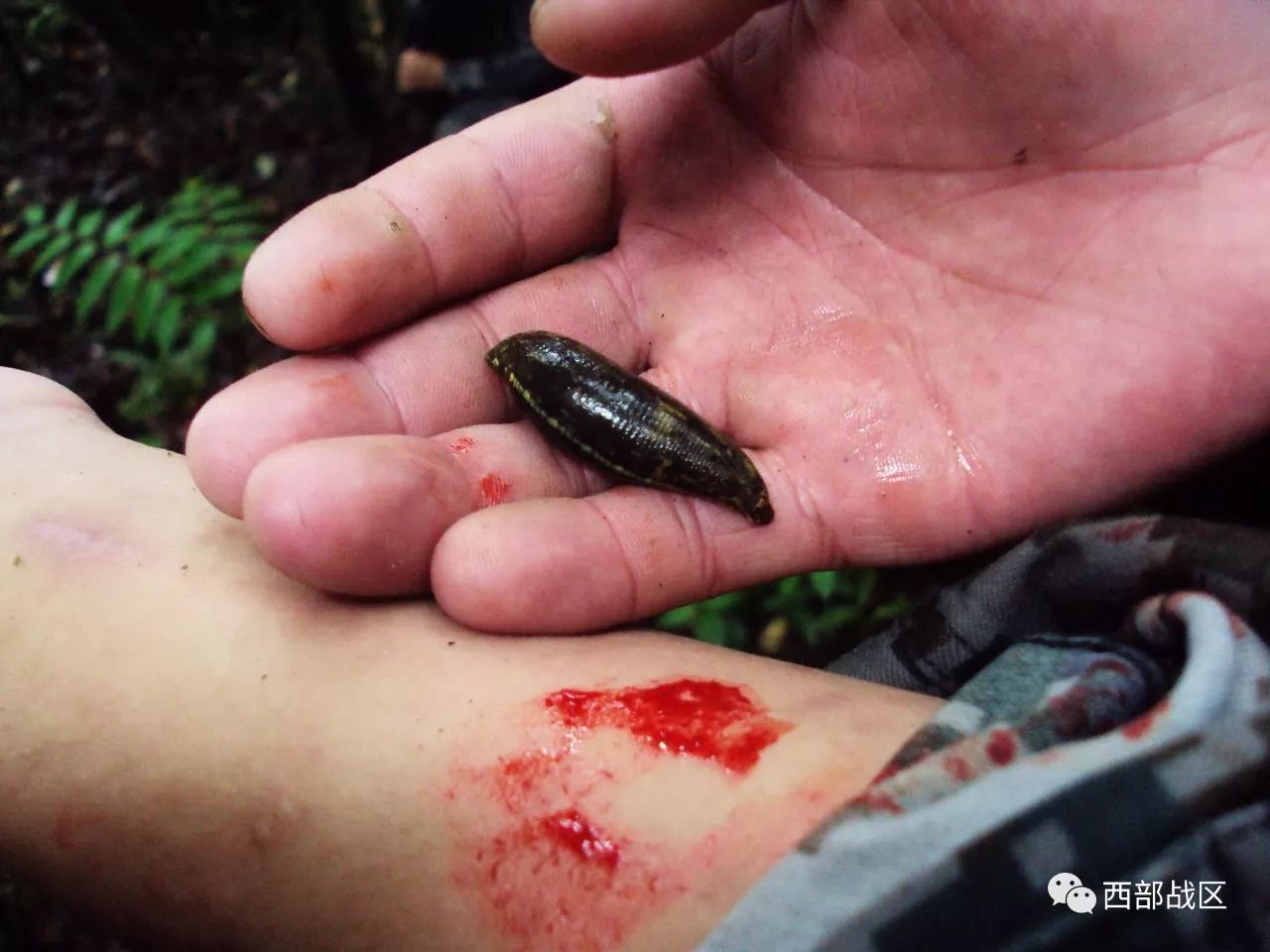 19岁边防战士梁昆炜延期服役武装巡逻途中不幸遇难