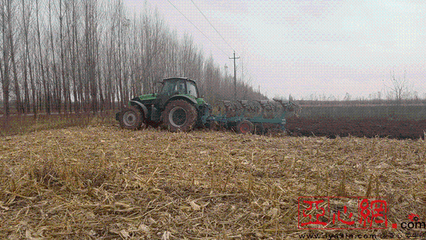 农业补贴标准 种地一亩能拿多少钱