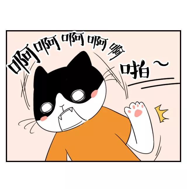 双十一零点我抢80斤猫粮的时候,手机突然响了.