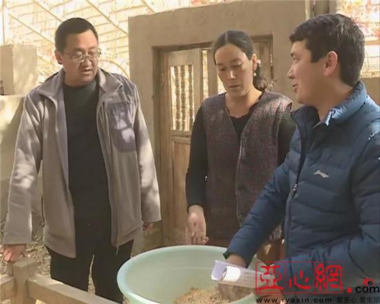 新疆墨玉县:工作队拓展养殖模式助力村民增收致富