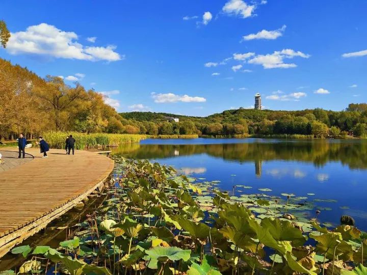 明年起长春净月潭景区内全面禁车 同时面向社会征集观光车停靠站设计