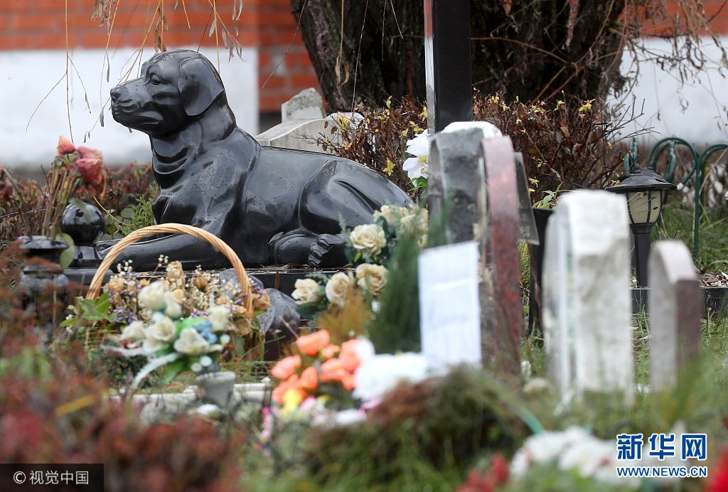缅怀"家庭至亲" 俄罗斯宠物墓地颇受欢迎