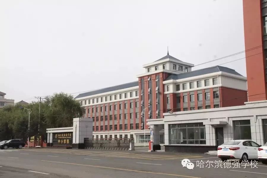 哈尔滨德强学校副校长张亚清: 以人发展为本让