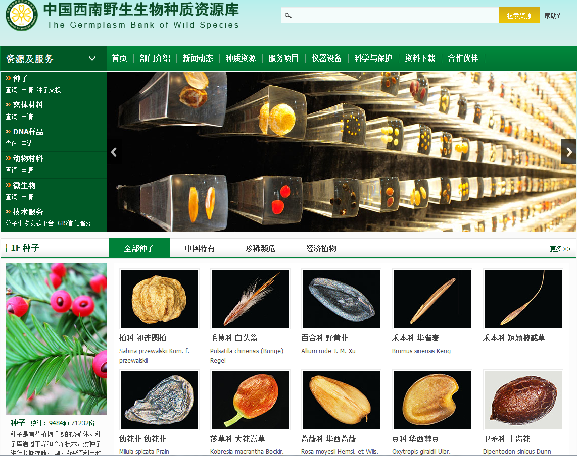 中国打造世界第二大"末日种子库"