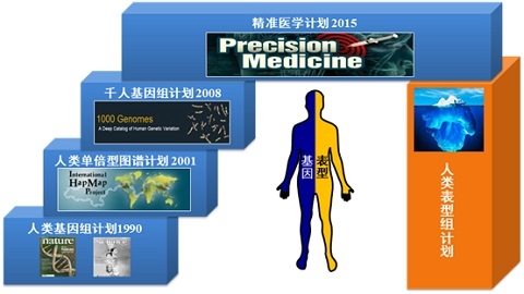 复旦大学牵头承担的“国际人类表型组计划(一期)”项目获得上海市首批市级科技重大专项资助|复旦大学|表型|人类_新浪新闻