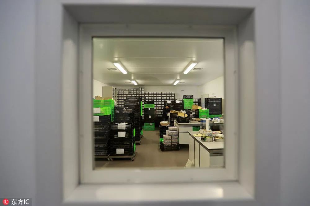 中国打造世界第二大"末日种子库"