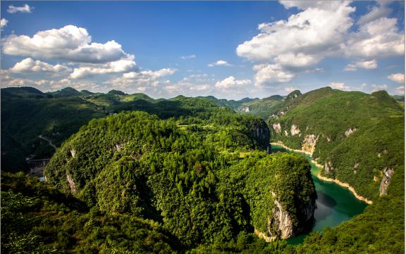 植被建设等各类资金,在该县谷脚,巴江等乡镇的高寒地带发展刺梨产业