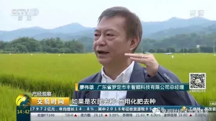 不去北上广小伙返乡种水稻一年狂赚100万