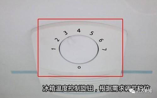 冰箱里按一下"它",能帮你省下一笔电费,可惜95%的人不知道!