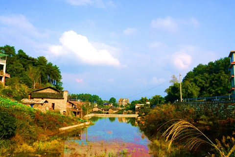 万盛万东镇:城乡美景入画来