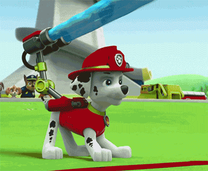 汪汪队来了!2017年最红的小狗!陈小春家jasper也爱看的绘本!