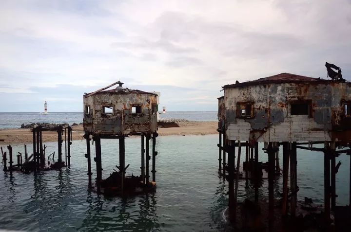 创业南沙人未老,风景这边独好
