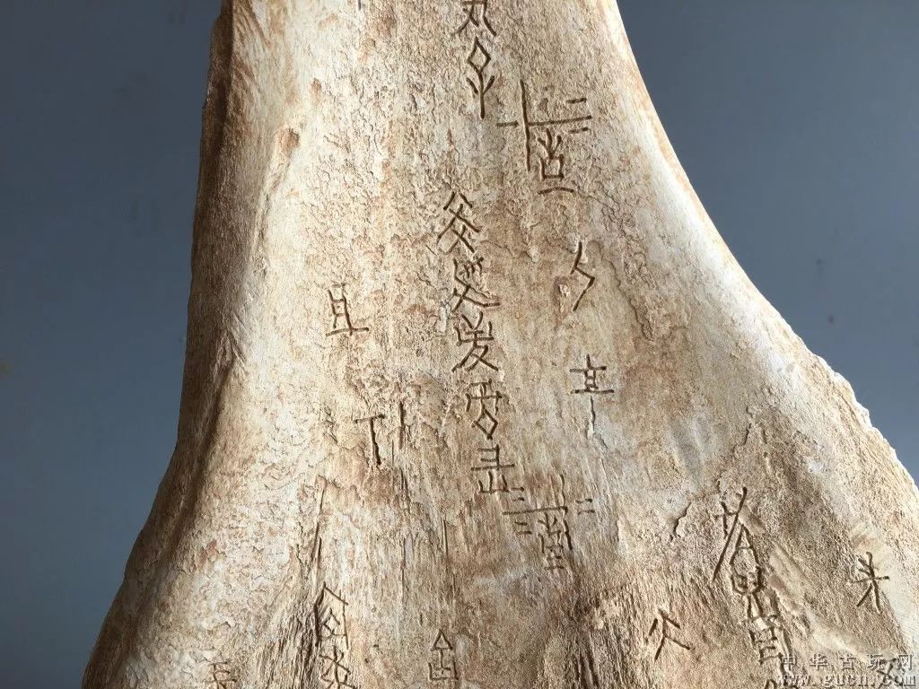 甲骨文又称"龟甲兽骨文",我国又一次成功申报.