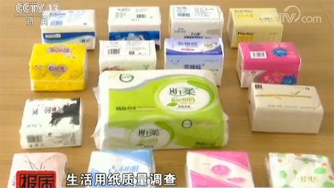 揭秘纸业新星：竹之康纸业的崛起之路