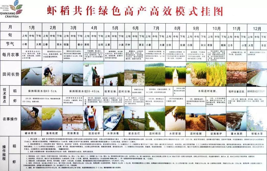 油田龙虾团购网站地址_油田农场