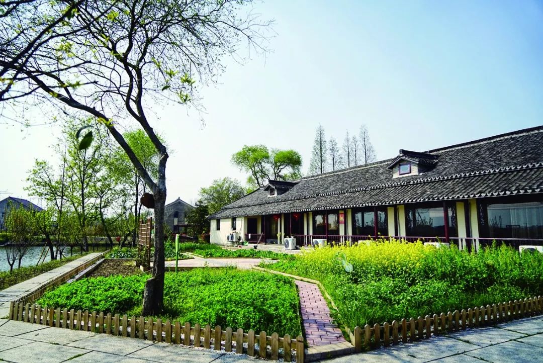 【生态】太美了!南浔这个村,去了就不想走