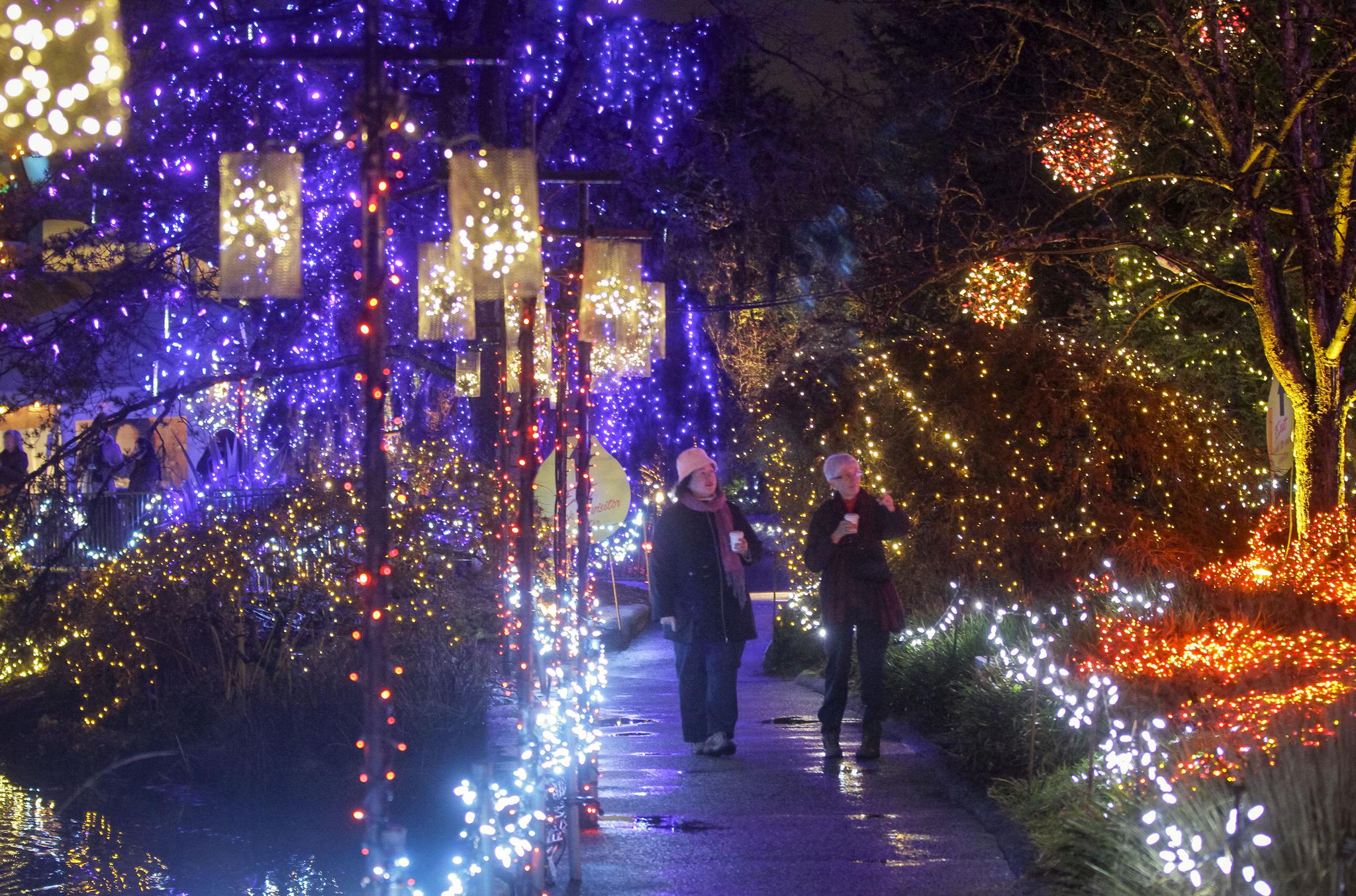 温哥华植物公园圣诞灯节开幕