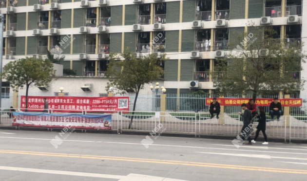 备排电子科技