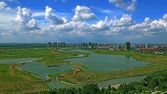 秀洲区区长吴燕:推动高质量发展 争当四个排头