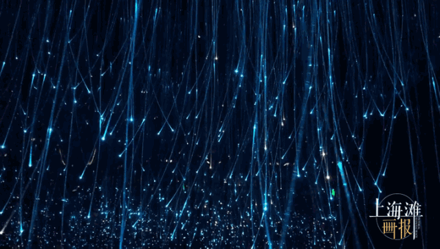 640_363gif 动态图 动图