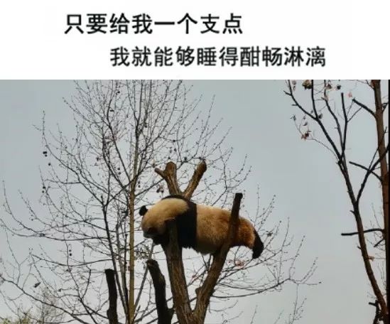 睡神附体 在哪都能睡出一片天有关中小学生熬夜写作业的话题,相信大家