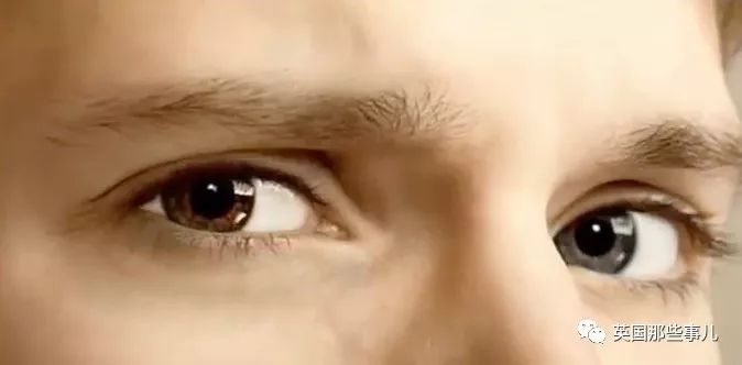 红粉银灰鸳鸯猫眼紫罗兰人类的眼睛居然有10种颜色