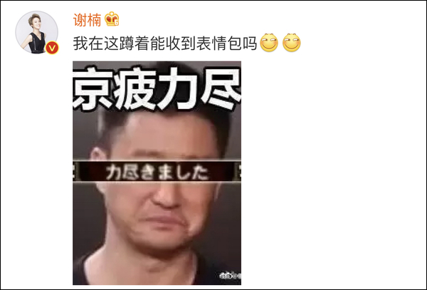 谢楠和吴京的结婚照
